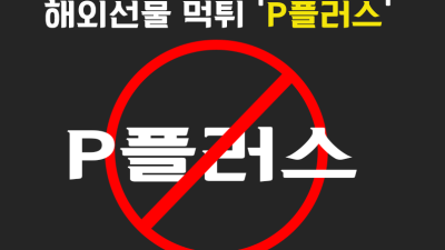 P플러스 해외 선물 대여 업체 원금 먹튀사례