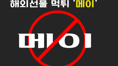 메이 해외선물 대여 업체 먹튀사례