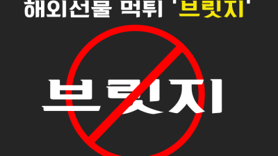 브릿지 해외 선물 대여 업체 불법거래소 사기, 사이드폼 똑같은 유사 거래소 득실득실