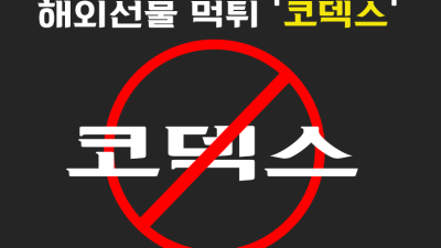 코덱스 해외선물 대여 업체 수익금 먹튀사례