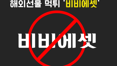 비비에셋 해외선물 먹튀